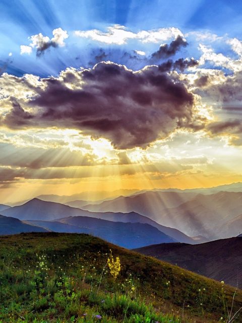 3 Steps to Begin Your Therapeutic Journey